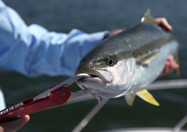 Tested: Kase Grasper Lip Gripper